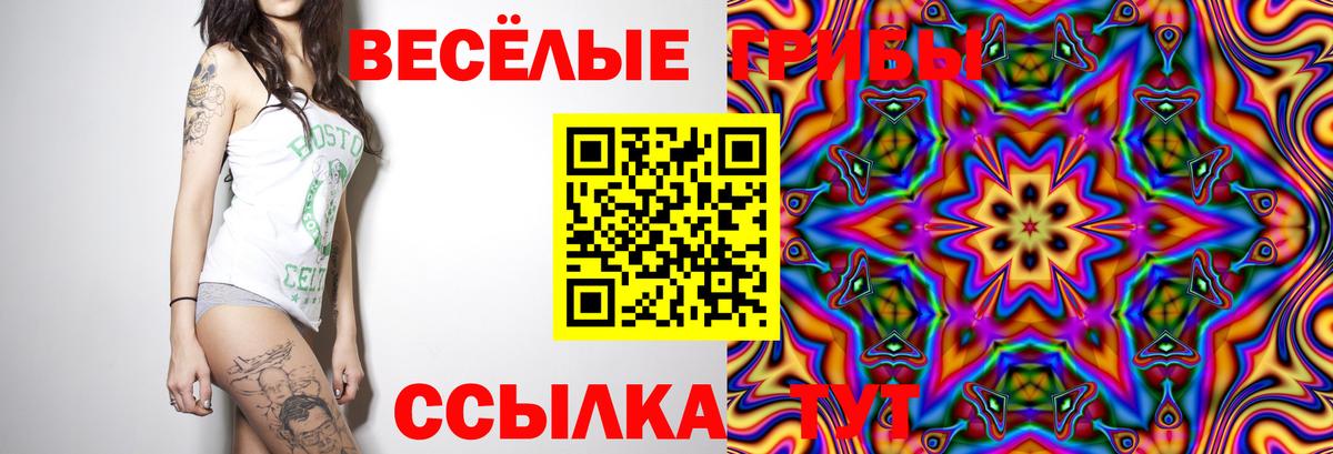 где продают   Псилоцибиновые грибы мухоморы  Вход с VPN  Ковров 